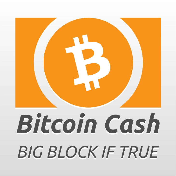 BigBlockIfTrue logo