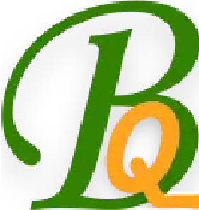 Bquest logo